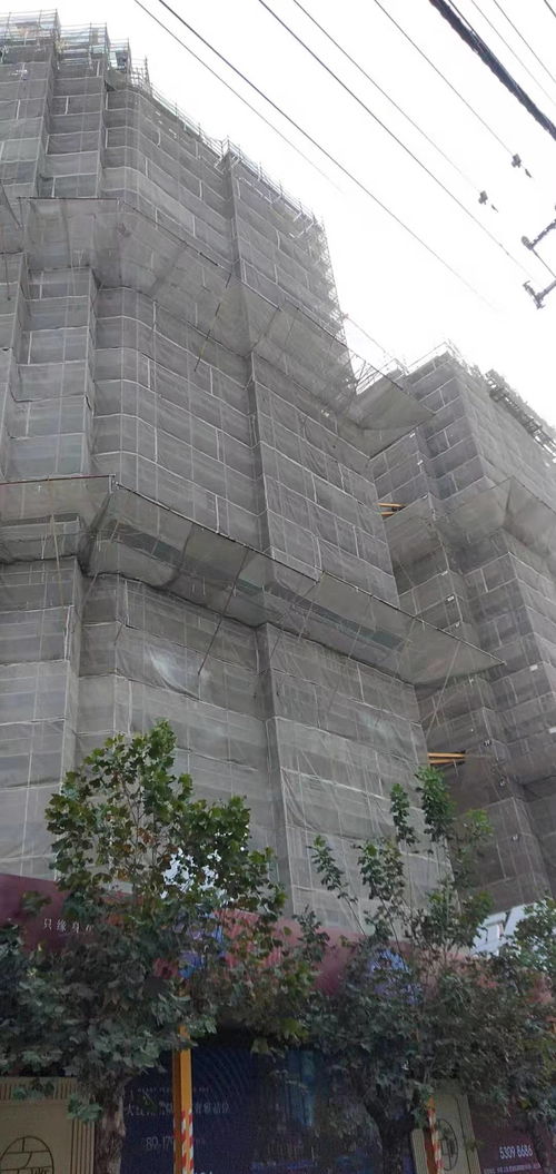 建筑建材企業商情 洞察市場脈搏，把握發展機遇